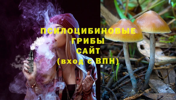 синтетический гашиш Козловка