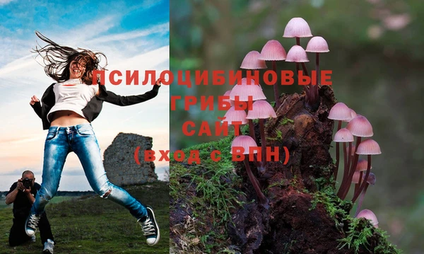 МДПВ Кодинск