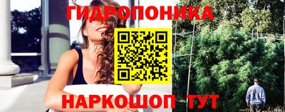 герыч Гатчина