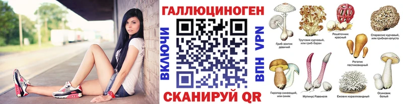 shop официальный сайт  omg сайт  Керчь  Галлюциногенные грибы GOLDEN TEACHER 